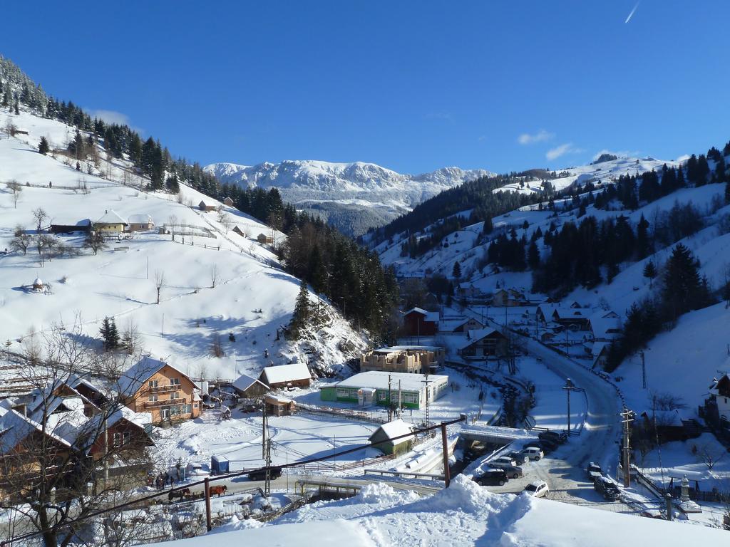 Ranger Chalet Moeciu De Sus Oda fotoğraf
