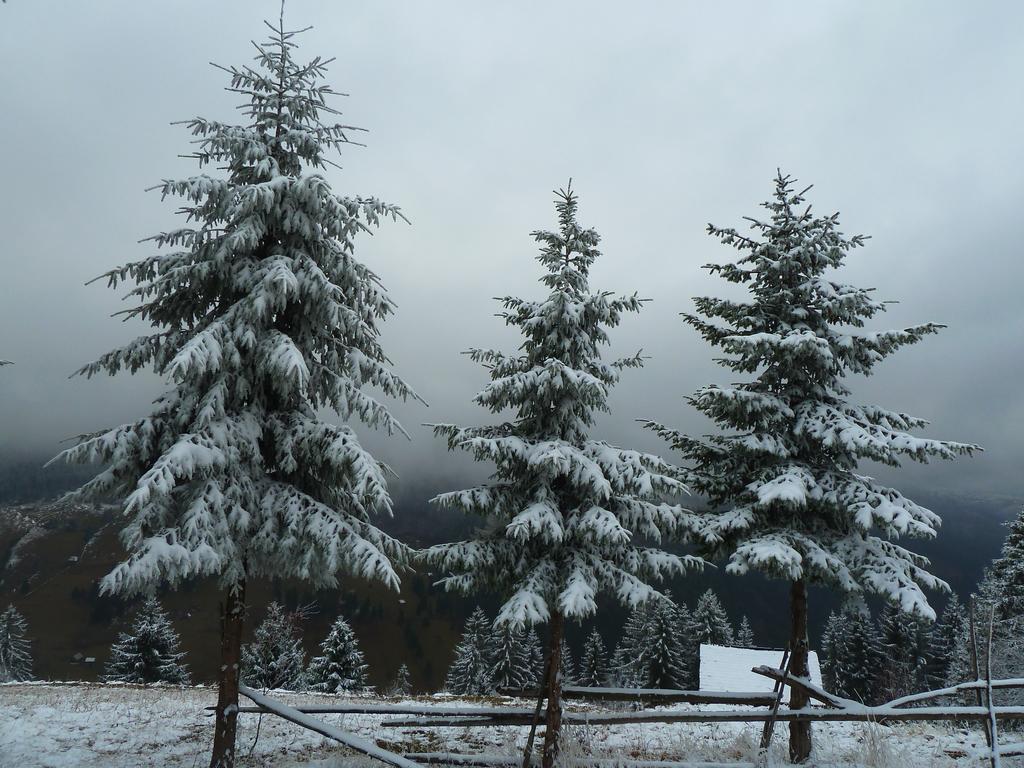 Ranger Chalet Moeciu De Sus Oda fotoğraf