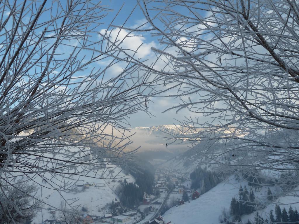 Ranger Chalet Moeciu De Sus Oda fotoğraf