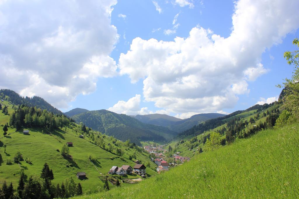 Ranger Chalet Moeciu De Sus Oda fotoğraf